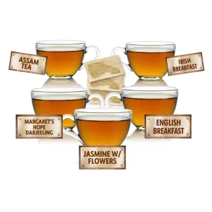 Tea with Friends Sampler - 5 Tea Bags of 5 Delicious Teas